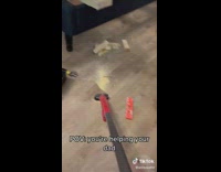 POV helping dad vacuum saw dust