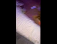 Black cat trying to steal french fry 