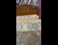 Collab BitchIG2 - Pulling grey cat sitting on couch funny face