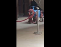 Spiderman car mall ride ugly