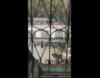 Person walking in the rain wearing a black trashbag as rain cover 
