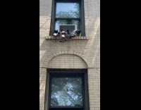 Multiple security cameras attached on AC