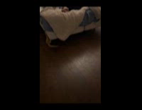 Cat crawling upside down underneath hoomans bed 