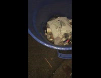 Amazon delivery person leaves package in rain and trash can with mouse under