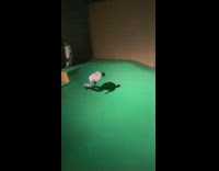 Man rides the skateboard on the bowl and then fell