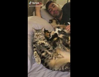 Collab BitchMP - Cats in bed take up space woman