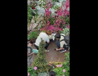 Two men taking picture of a doll on the garden