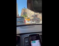 Rat comes out from hood to windshield