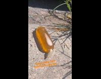 Blown condom full of piss on street