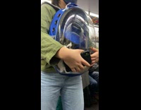 Cat yawns  in see-through backpack