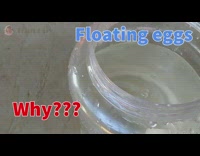 Egg floats when guy mixes water salt 