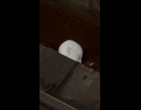 Collab Subway Creatures - Dirty white mannequin head on train tracks
