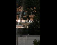 Loud raccoon fight on hanging electric wires