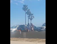 Four women twerks and dance with a man behind them