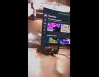 Guy shows off new meta pro quest headset 