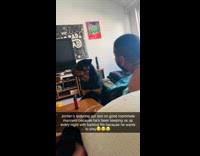 Man gives lecture about manners to dog