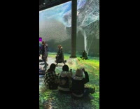 Waves at Van Gogh exhibit 