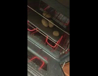 Potato in oven moves around dances guy 