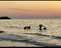 Four girls consecutive hair whip beach sunset