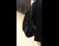 Blonde puffy hair split dress belly button neon yellow flats doesnt pay for subway and crawls under turnstile