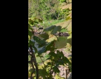 Woman pink jogging pants squat exercise riverside