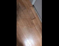 Submitter shows rain leaks inside the house