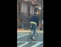 Black leggings cardboard box walks white dog 