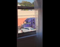 Man opens truck door then dog enters