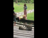 Girl green swimsuit monkey sanctuary koi fish 