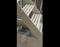 Guy walking down sidewalk makes bird noises 