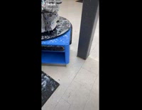 Collab BitchIG2 - Walmart check out counter milk spill