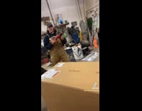 Collab BitchMP - Guy hits cardboard box with power saw