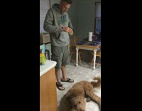 brown dog laying on ground and owner giving treat