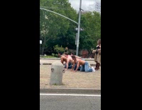 Men held by woman for dog photoshoot
