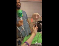 Collab BitchMP - Couple wire coraline dolls