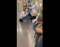 Woman film cats wear hats inside train