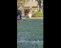 Girl long socks sit grass hold ice cream