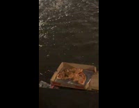 Collab winy - Pizza box float Washington square water fountain