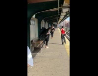 Collab Subway Creatures - Woman wear black wings at train station part 1