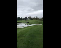 Golf cart drives through water puddle grass