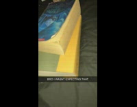 Collab BitchIG2 - Girl opens book spider runs out 