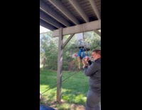 Man woman hangs dog to trim nails
