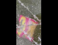 Pack of ramen noodles floating under ice 