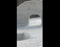 Small black white dog sand black shirt