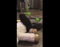 Collab BitchMP - Borgore my boo dog toy hump 