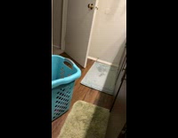 Pet dog stares at owner and then ran away