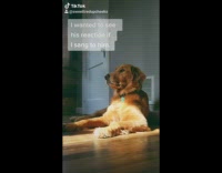 Girl sings to brown golden retriever dog 