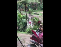 Woman transparent dress walk on bridge waterfalls