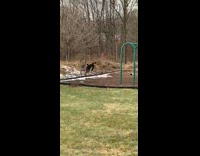 Kid on bike bumps into concrete playground