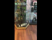 Black leather jacket girl walks selfie store